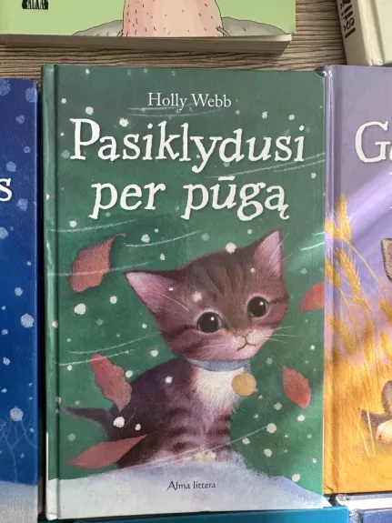 Pasiklydusi per pūgą - Holly Webb, knyga
