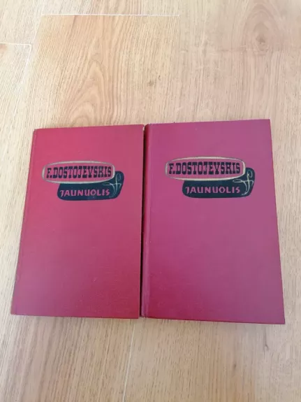 Jaunuolis (2 tomai) - Fiodoras Dostojevskis, knyga 1