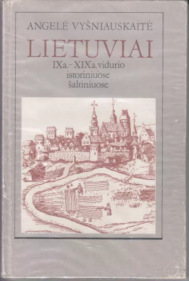 Lietuviai IXa.–XIXa. vidurio istoriniuose šaltiniuose - Angelė Vyšniauskaitė, knyga