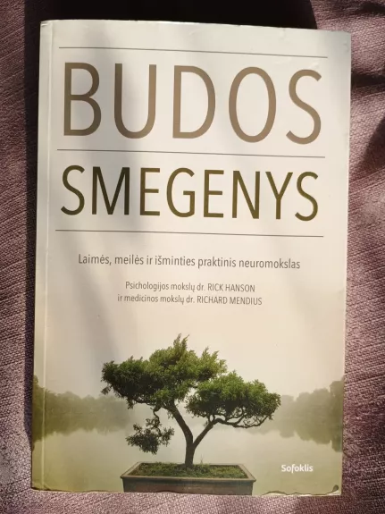 Budos smegenys. Laimės, meilės ir išminties neuromokslas - Rick Hanson, knyga