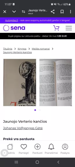 Jaunojo Verterio kančios - Johanas Volfgangas Gėtė, knyga