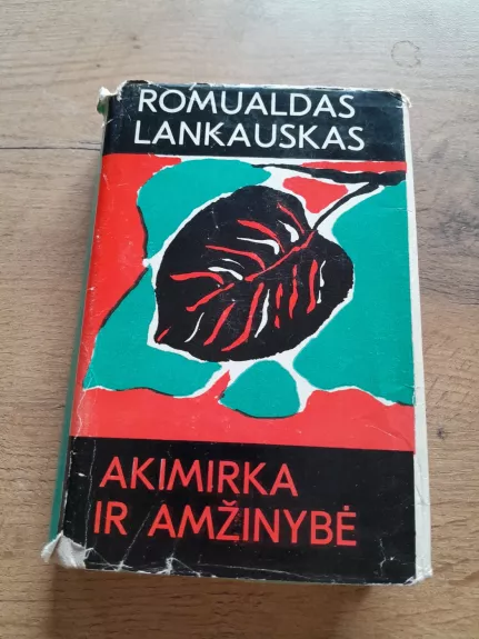 Akimirka ir amžinybė