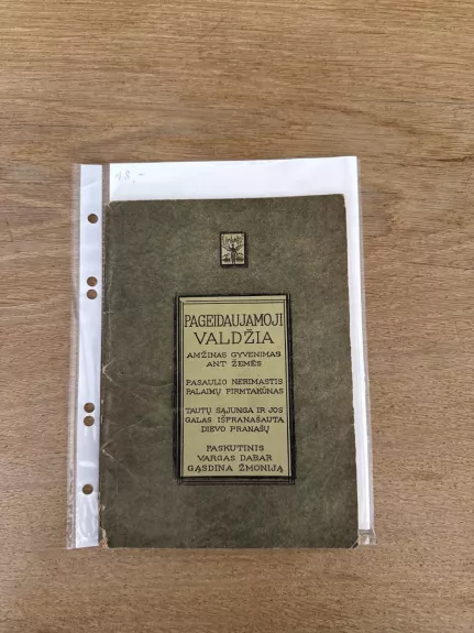 Pageidaujamoji Valdžia 1924 m. - J. F. Rutherford, knyga 1