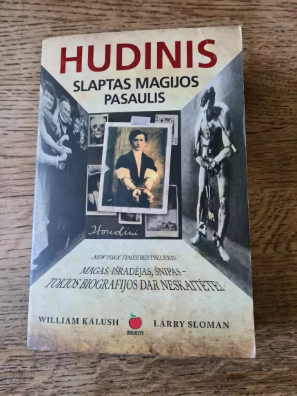 Hudinis. Slaptas magijos pasaulis