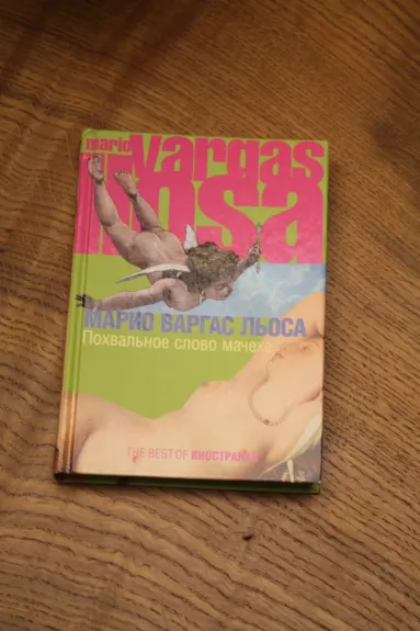 Praise for the stepmother