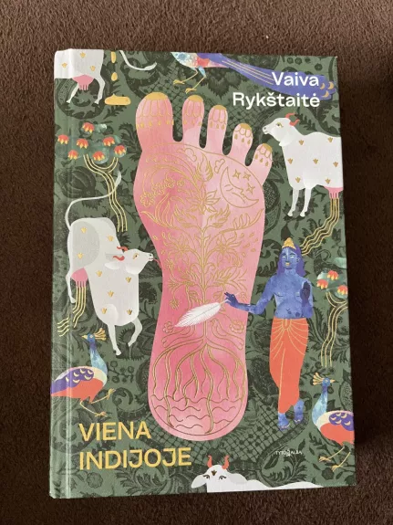 Viena Indijoje - Vaiva Rykštaitė, knyga