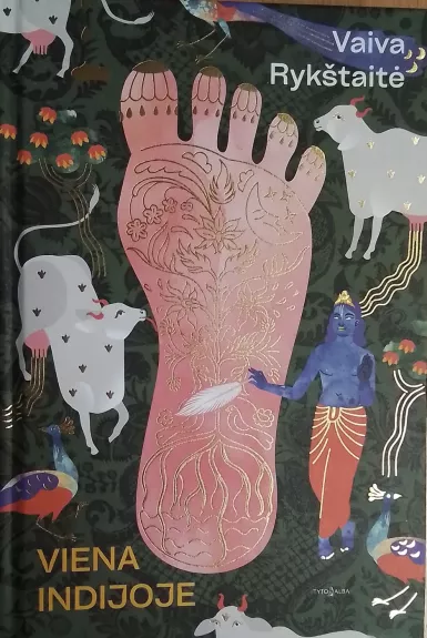 Viena Indijoje - Vaiva Rykštaitė, knyga