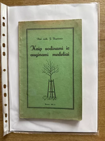 Kaip sodinami ir auginami medeliai