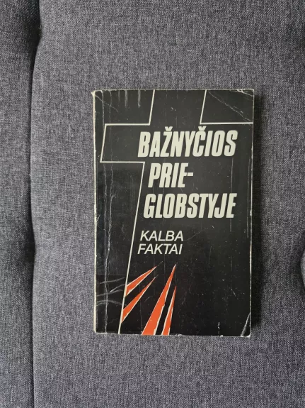 Bažnyčios prieglobstyje: kalba faktai