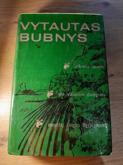 Alkana žemė. Po vasaros dangum. Nesėtų rugių žydėjimas