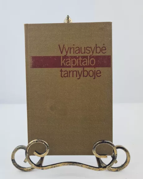 Vyriausybė kapitalo tarnyboje