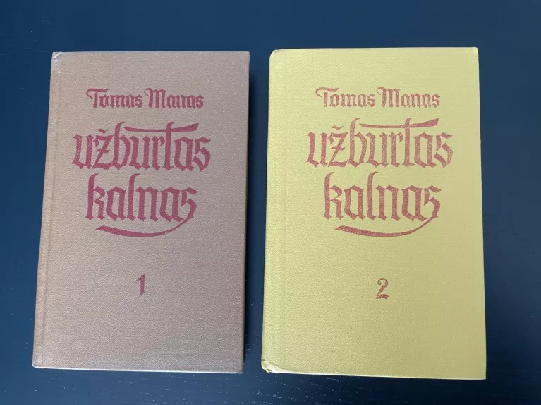 Užburtas kalnas (1 ir 2 tomai) - Tomas Manas, knyga 1