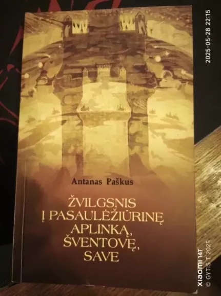 Žvilgsnis į pasaulėžiūrinę aplinką, šventovę, save