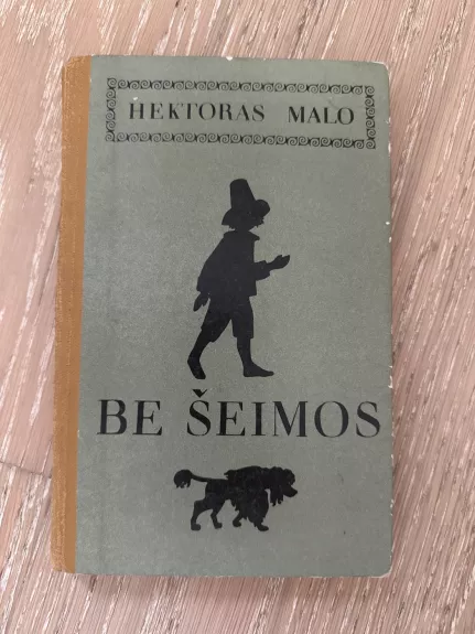 Be šeimos - Hektoras Malo, knyga