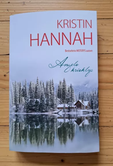 Angelo krioklys - Kristin Hannah, knyga 1