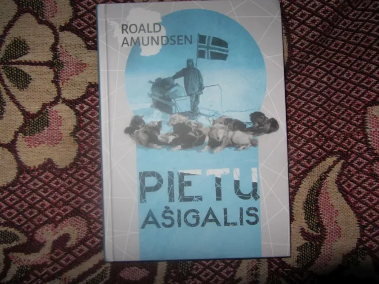 Pietų ašigalis