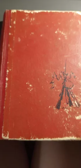 Rūdininkų girios partizanai