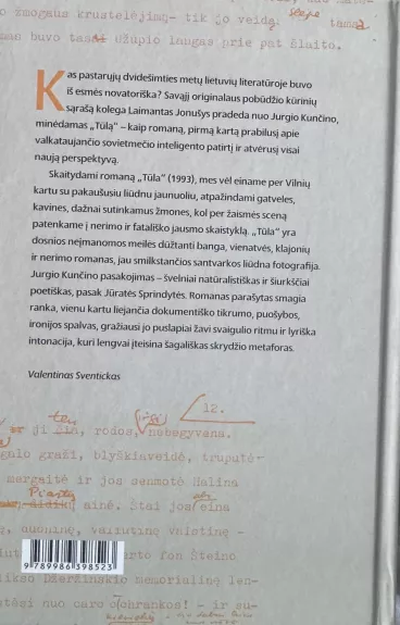 Tūla - Jurgis Kunčinas, knyga 1