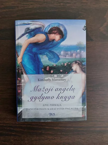 Mažoji angelų gydymo knyga