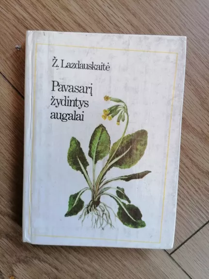 Pavasarį žydintys augalai