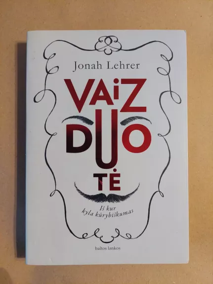 Vaizduotė: iš kur kyla kūrybiškumas - Jonah Lehrer, knyga