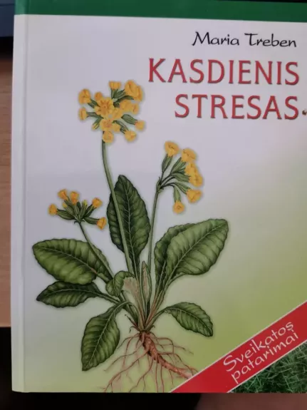 Kasdienis stresas