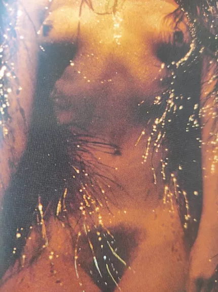 Pelenė. Lietuvos fotomenas