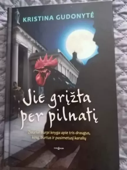 jie grįžta per pilantį