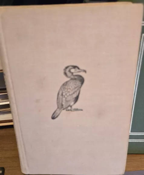 Pasaulio paukščiai