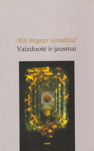 Vaizduotė ir jausmai