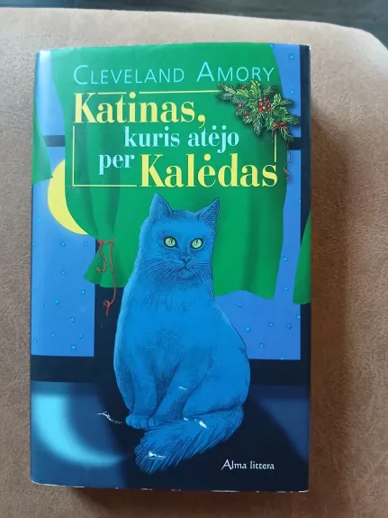 Katinas, kuris atėjo per Kalėdas