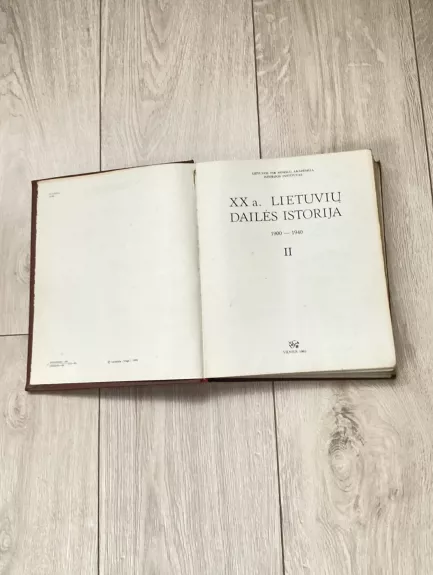 XX a. Lietuvos dailės istorija II