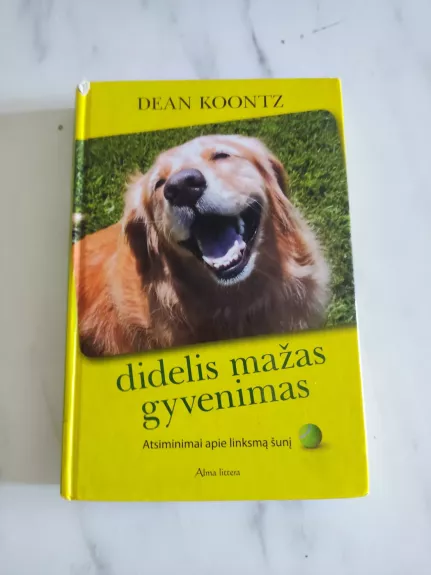 Didelis mažas gyvenimas