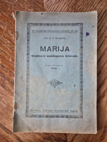 Marija tikėjimo ir maldingumo šviesoje