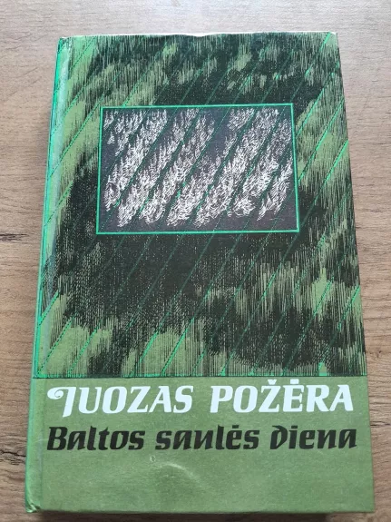 Baltos saulės diena