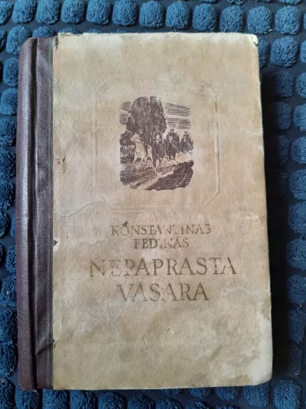 Nepaprasta vasara