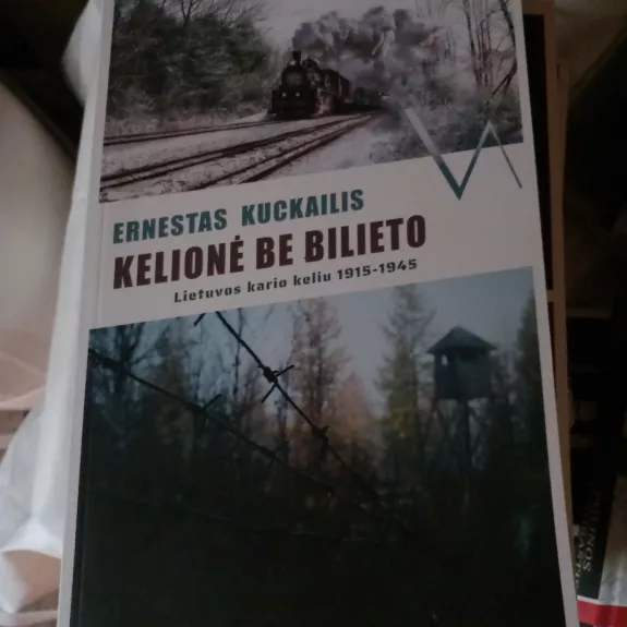 Kelionė be bilieto. Lietuvos kario kelio, 1915-1945 m.