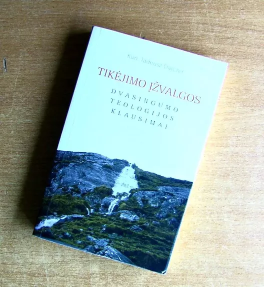 Tikėjimo įžvalgos: dvasingumo teologijos klausimai