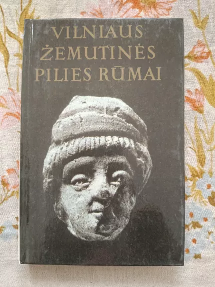 Vilniaus žemutinės pilies rūmai