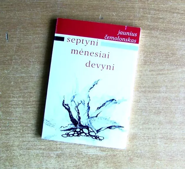 Septyni mėnesiai devyni