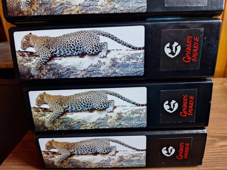 Gyvūnijos pasaulyje