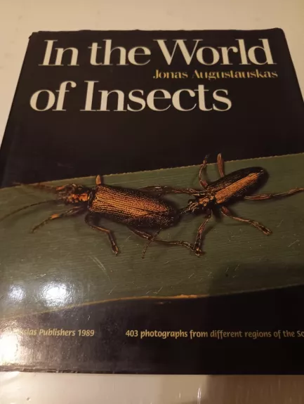 In the World of Insects