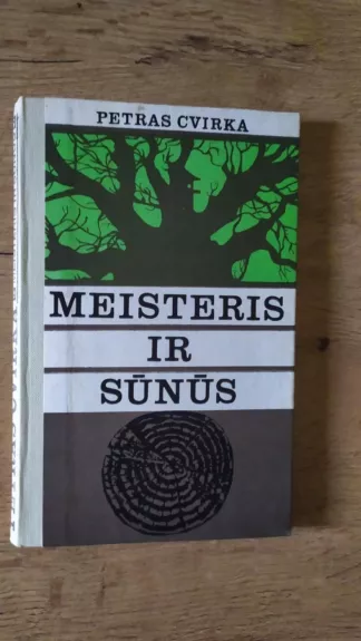 Meisteris ir sūnūs