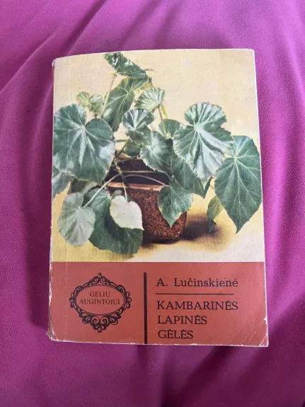 Kambarinės lapinės gėlės