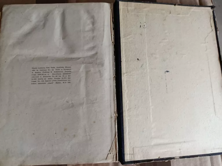 Maksimo Gorkio gyvenimas ir nuotykiai