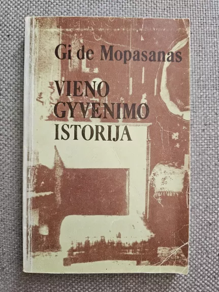 Vieno gyvenimo istorija