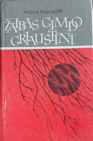 Žaibas gimdo griaustinį