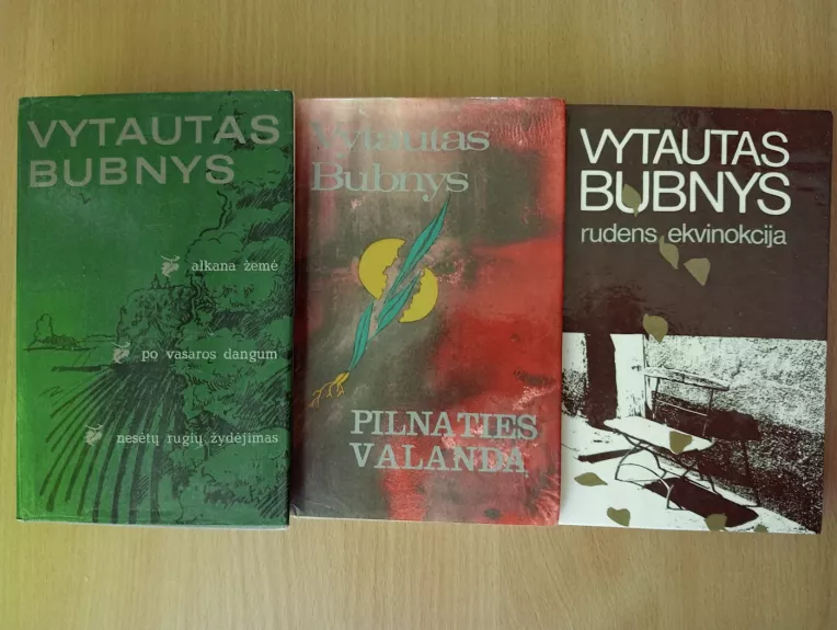 Alkana žemė. Po vasaros dangum. Nesėtų rugių žydėjimas