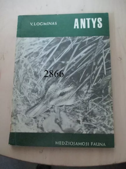 Antys