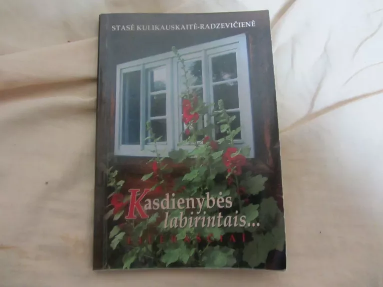 Kasdienybės labirintais...